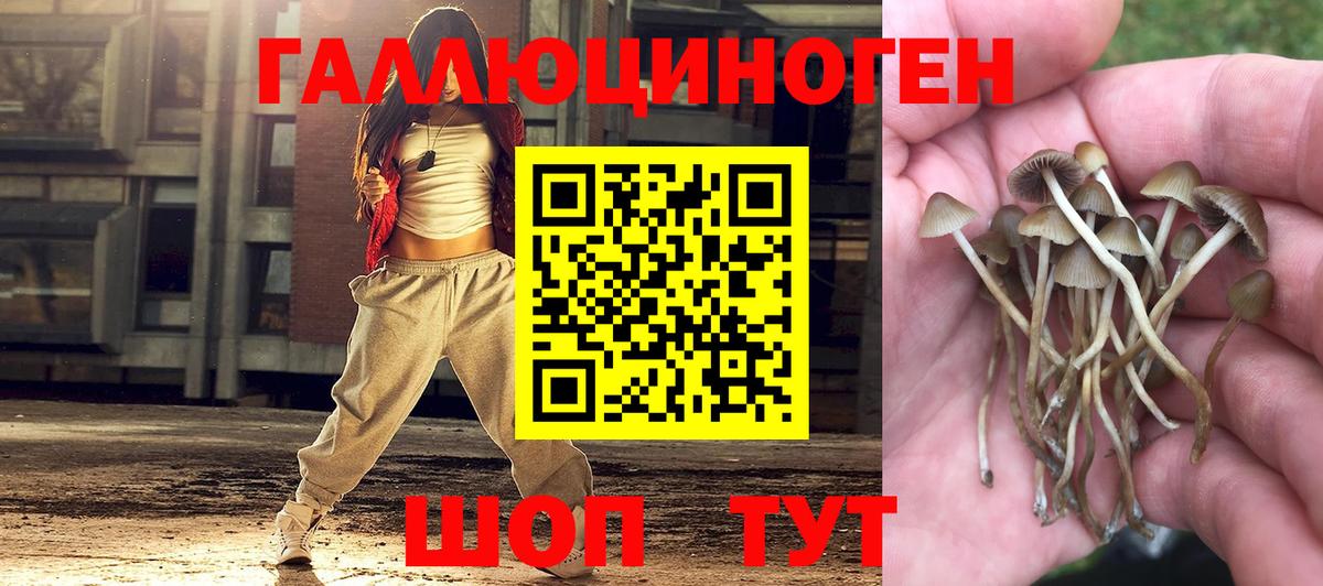Галлюциногенные грибы Cubensis  Вход с VPN  Коммунар  Псилоцибиновые грибы Cubensis 